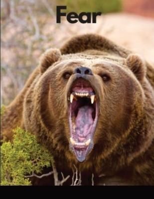 Fear: False Evidence Appearing Real foto