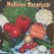 ZARZAVATURILE IN MEDICINA NATURISTA - ALFONS BALBACH, DANIEL BOARIM