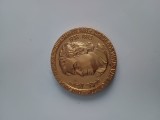 RARITATE ,NICHITA STANESCU 1933-1983 .Medalie bronz.Omagiu marelui poet roman .Diametru 50 mm .PIESA DE COLECTIE .