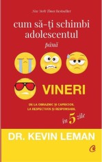 Cum sa-ti schimbi adolescentul pana vineri. De la obraznic si capricios, la respectuos si responsabil in 5 zile - Curtea Veche