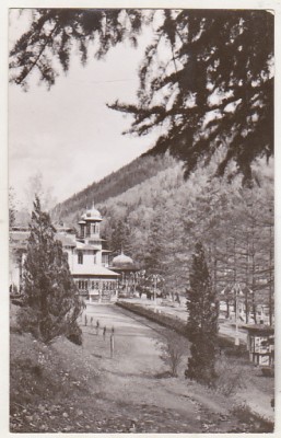 bnk cp Slanic Moldova - Vedere - circulata foto