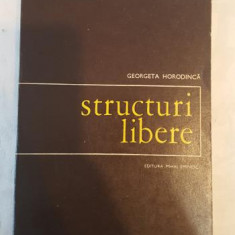 Georgeta Horodinca - Structuri libere