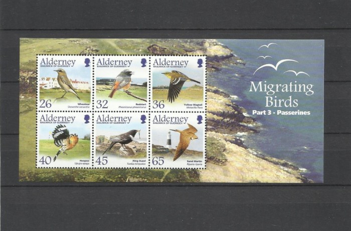 ALDERNEY 2004 FAUNA PASARI MIGRATOARE