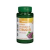 Extract din Samburi de Struguri cu Resveratrol 90 capsule Vitaking