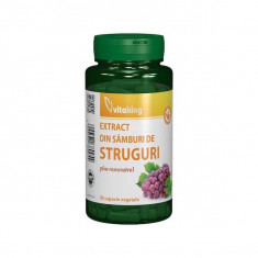 Extract din Samburi de Struguri cu Resveratrol 90 capsule Vitaking