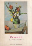 Paul Cezanne Naturi Moarte Carte Arta Albume Arta Editura Meridiane Romana 1966