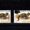 M1 TX9 6 - 2001 - Animale 1993 - supratipar &quot;sarpe&quot;