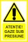 Foto  - 1