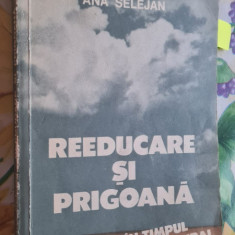 Ana Selejan - Reeducare si prigoana. Romania in timpul primului razboi cultural