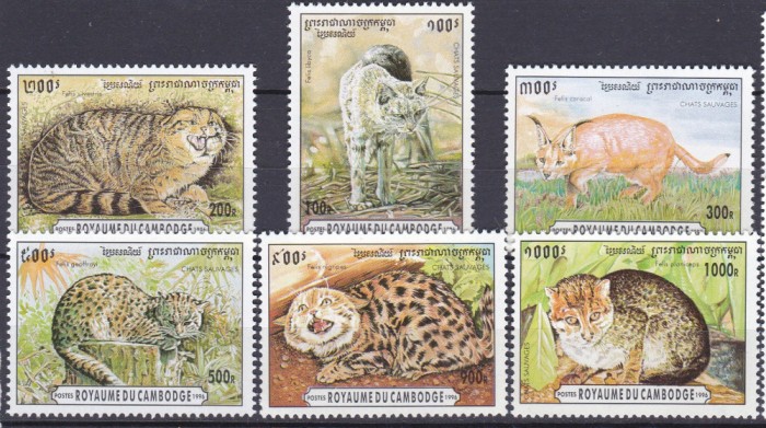 DB1 Fauna Feline 1996 Cambodgia 6 v. MNH