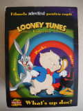 COLECTIA LOONEY TUNES - 8 DVD-uri - adevarul pentru copii (colectie completa), Romana