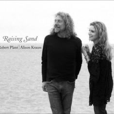 Robert Plant Alison Krauss Raising Sand LP (2vinyl)