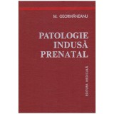 M. Geormaneanu - Patologie indusa prenatal - 129573