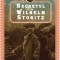 Secretul lui Wilhelm Storitz - Jules Verne