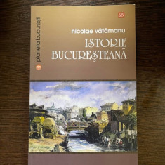 Nicolae Vatamanu - Istorie bucuresteana