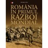 Romania in primul razboi mondial, Petre Out, Litera