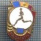 AX 827 INSIGNA - POLISPORTIV - LOCUL I -PENTRU COLECTIONARI