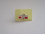 QW9 N3 57 - insigna - steag - culori si insemne nationale si militare - Polonia, Europa