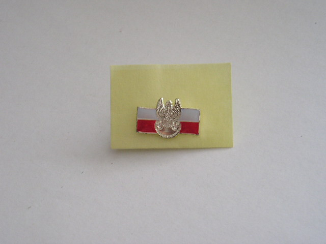 CM3 N3 57 - insigna - steag - culori si insemne nationale si militare - Polonia