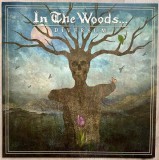 IN THE WOODS... (Norway) &ndash; Dīversum (Vinyl, LP, Sea Blue, 2022)