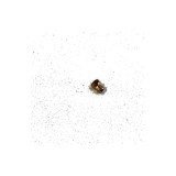 Injector GPL Original CATA 1300401004 pentru plita CATA-NODOR