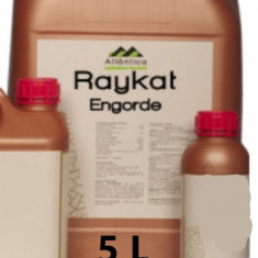 Ingrasamant Raykat Engorde 5 l