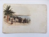 Carte postala veche, vedere Franta - Cannes - La Promenade de la Croisette, 1900, Necirculata, Printata