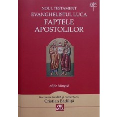 Noul Testament Evanghelistul Luca Faptele Apostolilor (Editie bilingva)