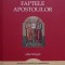 Noul Testament Evanghelistul Luca Faptele Apostolilor (Editie bilingva)
