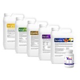 CHRD Pachet Nutriție 10 ha Păioase (Gr&acirc;u, Orz, Triticale). Biostimulatori &amp; Fertilizant NP 11-37-0. Creștere, dezvoltare, rezistență la stres.