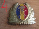 QW14 - Emblema militara / cuc - uscat - anii 1990 - piesa de colectie
