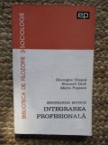 Sociologia muncii: Integrarea profesională, Chepeș, Drob, Popescu, Buc. 1967