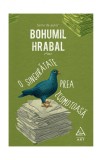 O singurătate prea zgomotoasă - Bohumil Hrabal, ART
