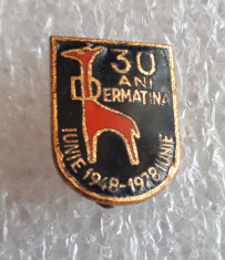 Insigna industrie - Dermatina Timisoara (Mase plastice)- 30 de ani - L1 foto