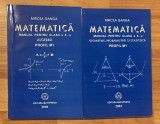 Matematica. Manuale pentru clasa a X a, profil M1 de MIrcea Ganga (2 vol.)