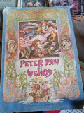 PETER PAN SI WENDY - J.M BARRIE