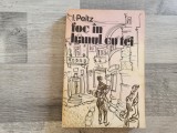 Foc in hanul cu tei de I.Peltz