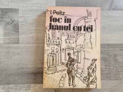 Foc in hanul cu tei de I.Peltz foto