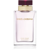 Dolce&amp;Gabbana Pour Femme Eau de Parfum pentru femei 100 ml