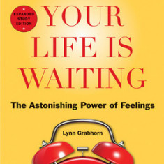 Excuse Me, Your Life Is Waiting: The Astonishing Power of Feelings