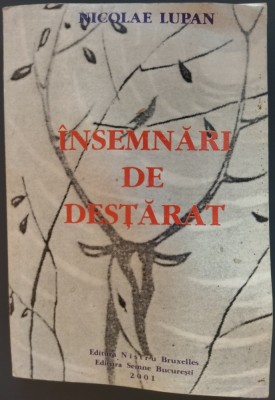 NICOLAE LUPAN - INSEMNARI DE DESTARAT (BRUXELLES / BUCURESTI, 2001) foto