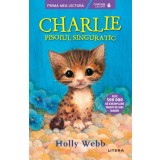 Charlie, pisoiul singuratic (Nivelul 6)