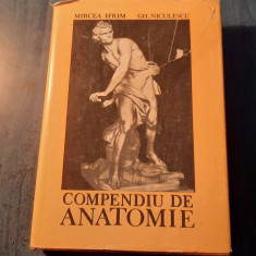 Compendiu de anatomie Mircea Ifrim Gh. Niculescu