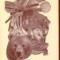 Animal Speak Workbook