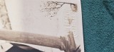 Carte postala fotografica , cabinet SIBIU EMIL FISCHER , cu Printesa Elisabeta