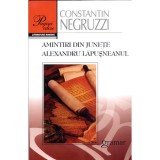 Amintiri din Junete - Constantin Negruzzi, Gramar, Fictiune, Limba Romana, Coperta Brosata, Roman Beletristica