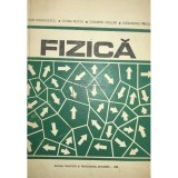 Dan Anghelescu - Fizica (Editia: 1982)
