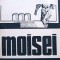 Gheorghe I. Bodea - Moisei (Editia: 1982)
