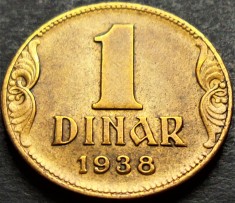 Moneda istorica 1 DINAR - YUGOSLAVIA, anul 1938 *cod 691 B = excelenta