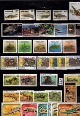 REPTILE-SERPI-CROCODILI-Timbre din VIETNAM--SURINAME-BULGARIA-UNGARIAsiMONGOLIA